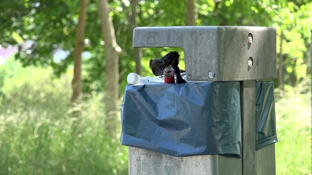 Trash can seen filled with random items, including liquor bottle sticking out of the top.
