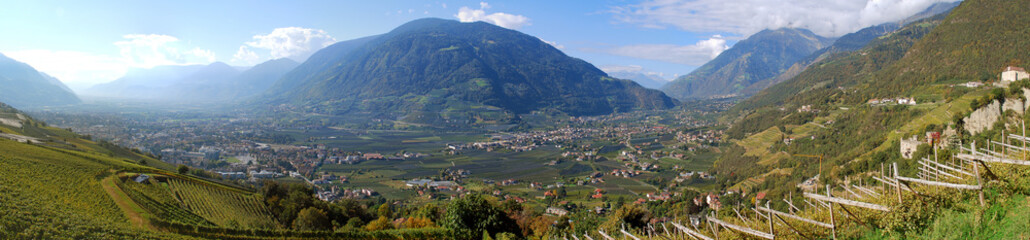Fototapeta na wymiar Panorama view on valleys and mountains in the italian alps standing in a vineyard