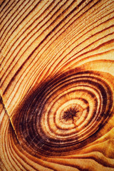 abstract circular lines on the cut of wood