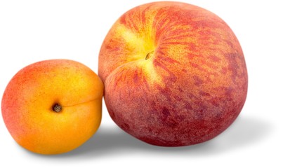 Fototapeta na wymiar Apricot and Peach