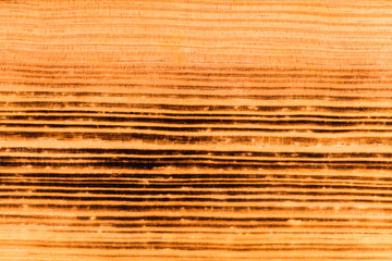 burned brown pine wood