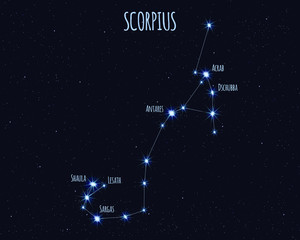 Scorpius (The Scorpion) constellation, vector illustration with the names of basic stars against the starry sky