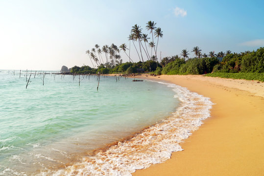 
Perfect tropical beach with palm trees. Sri Lanka