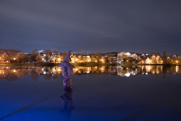 Böblinger See vor Weihnachten