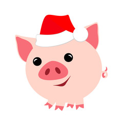 A pig  for new year 2019. Symbol in the Chinese calendar the of the 2019 Year. Vector