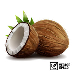3D realistic isolated vector set of whole coconut, coconut halves and palm leaves - obrazy, fototapety, plakaty