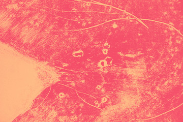 orange and pink paint brush strokes background 