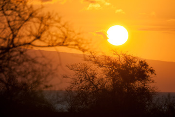 Sunset on the coastline of Fernandina Island, Galapagos Islands