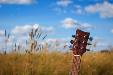 Close up of an acoustic guitar in a wheat field