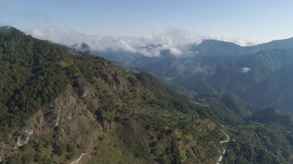 Fototapeta premium Aerial view of mountains covered forest, trees in clouds. Cordillera region. Luzon, Philippines. Slopes of mountains with evergreen vegetation. Mountainous tropical landscape.