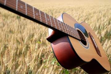 Close up of an acoustic guitar in a wheat field
