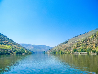 Vineyards of the Douro Valley in Pinhao, Portugal
