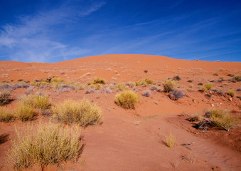 landscape in the desert