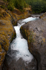 waterfall in forest