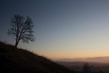 Fototapeta na wymiar silhouetted tree against a beautiful sunrise in the Scottish highlands on a winters day