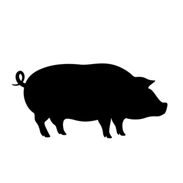 Pig vector icon