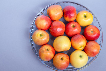 fresh homemade dough for fragrant baking