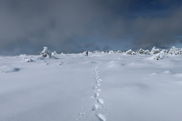 Pisadas en la nieve
