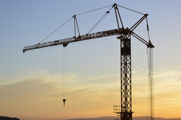 silhouette of cranes at sunset