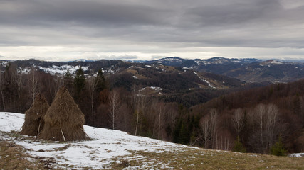 Winter, mountains, forest. Winter in the mountains