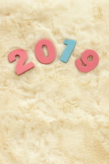 Number 2019 on flake fur for New year background