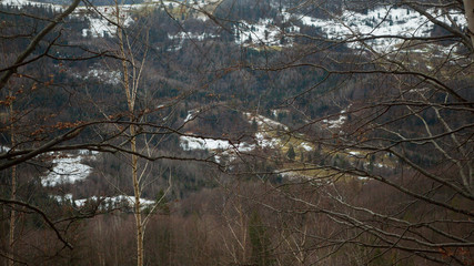 Winter, mountains, forest. Winter in the mountains