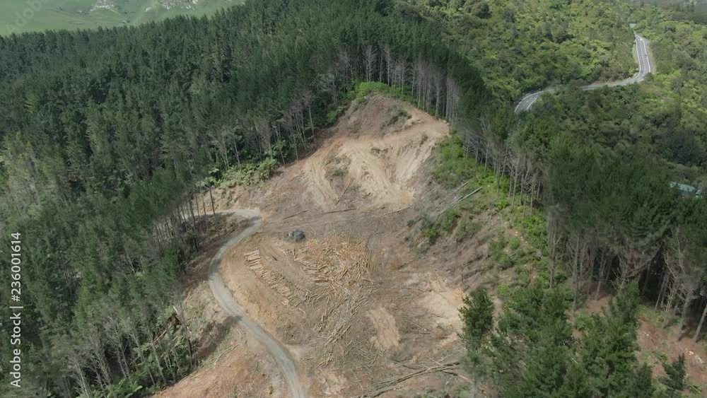 Poster areal footage over a forest from which a huge area has beed deforested and trunks being left for har