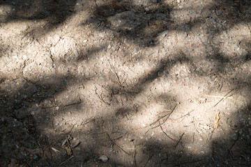 Small stones and ground texture with grass background and sun