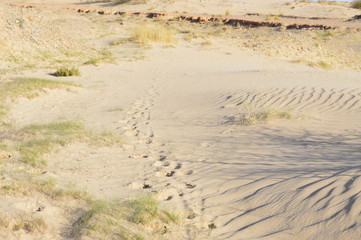 footprints in the sand