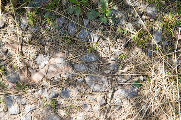 Small stones and ground texture with grass background and sun