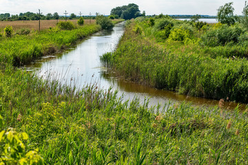 Typical landscape at swamp area of Imperial Pond (Carska bara), large natural habitat for birds and other animals from Serbia