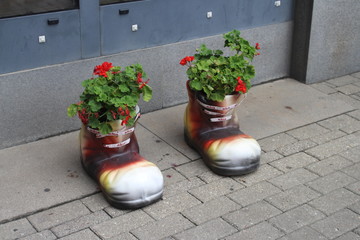 Vasi per fiori a Riga