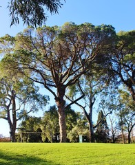 Obraz premium paysage et végétation nature en plein air en Australie