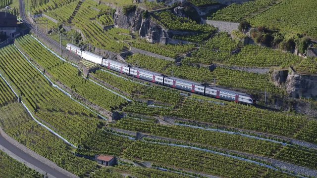 Aerial shot following Swiss train in Lavaux vineyard, Switzerland