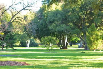 Obraz premium paysage et végétation nature en plein air en Australie
