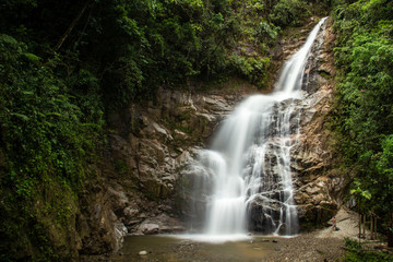 Fototapeta na wymiar Cascata nel parco nazionale Podocarpus, Ecuador