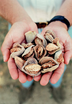 Almond Farmers