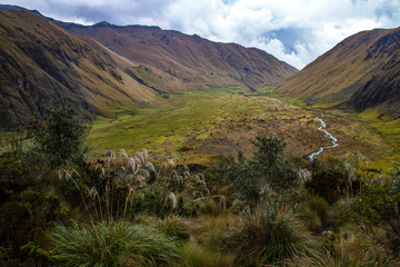 Splendido trekking al vulcano El Altar, Ecuador