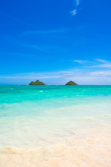 Gorgeous Tropical Island Beach in Hawaii