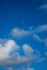 Half Moon in the Daytime Sky