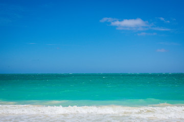 Gorgeous Tropical Island Beach in Hawaii