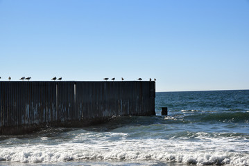 Sea gulls atop the USA Mexico border wall where it extends into the ocean