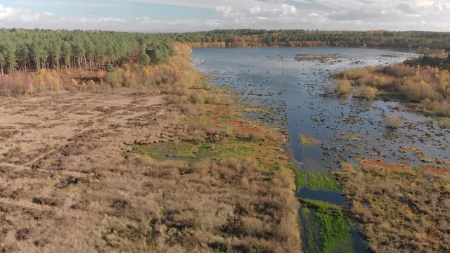 Ariel Pan view of Blakemere Moss at Delamere, Cheshire, England during Autumn