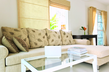 Modern house interior with furniture such as sofa, wooden dining table.