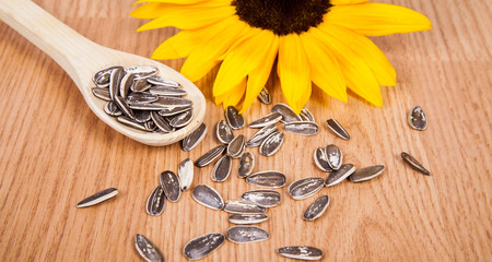 Fototapeta na wymiar pile of sunflower seeds