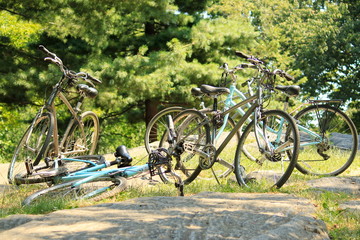 Fototapeta na wymiar bicycles in park