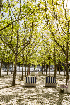 Trees in a park near the Oceanary in Lisbon