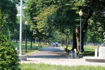 Naklejka premium park in the city