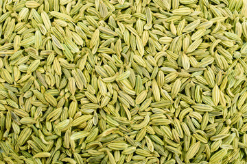 Healthy Fennel Seed or Saunf Indian Traditional Digestive Food and mouth freshner