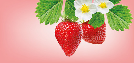 freshness red strawberries